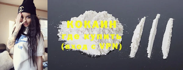 крисы Верея