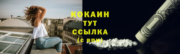 крисы Верея