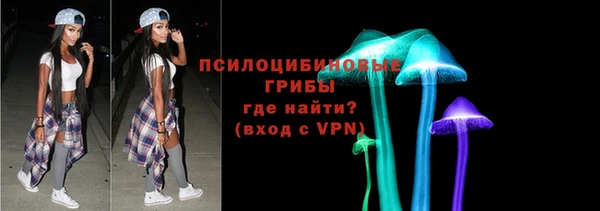 крисы Верея